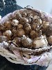 20210810_165958.jpg